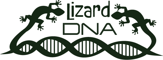 The Lizard DNA logo.